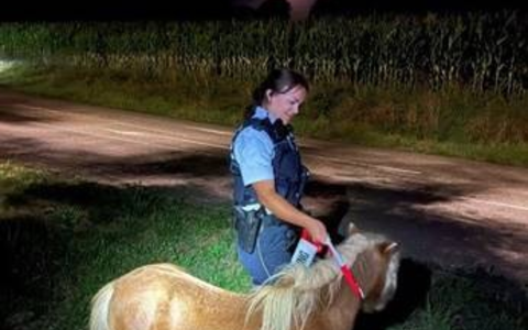 POL-OG: Mittelbaden - Mit guten Nachrichten ins Wochenende - Foto: presseportal.de