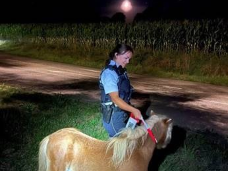 POL-OG: Mittelbaden - Mit guten Nachrichten ins Wochenende - Foto: presseportal.de