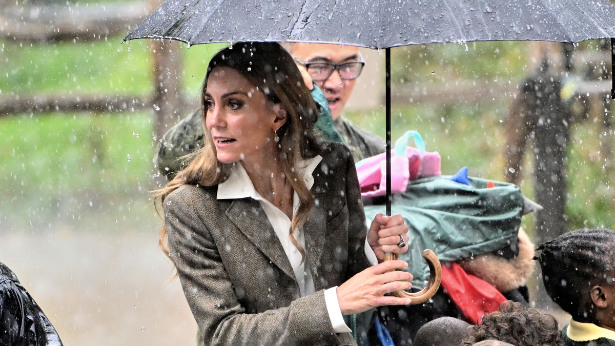 Gemeinsam mit Prinz William besuchte Kate eine Schulklasse im Natural History Museum. - Foto: Eddie Mulholland/Pool Daily Telegraph/AP/dpa