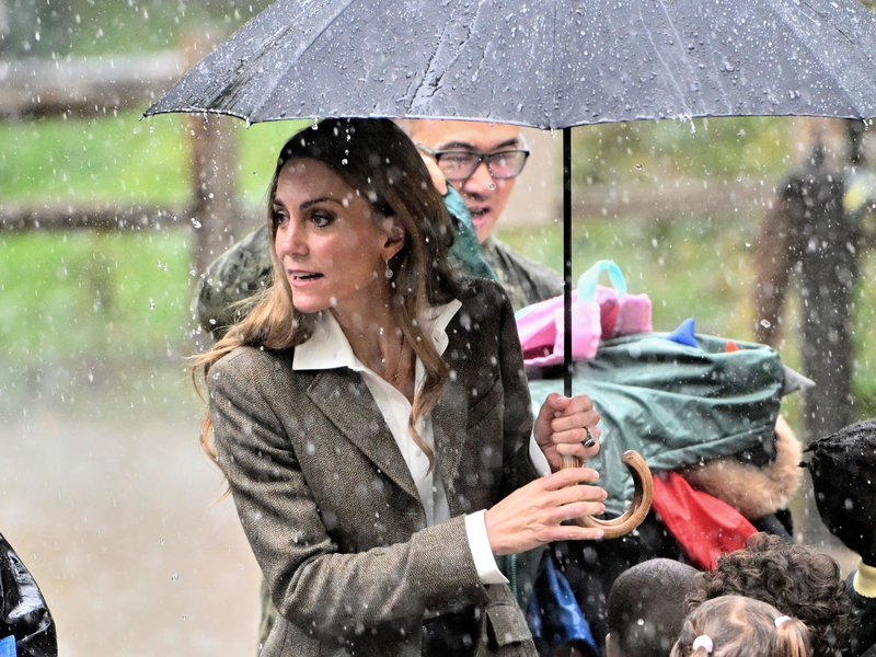 Gemeinsam mit Prinz William besuchte Kate eine Schulklasse im Natural History Museum. - Foto: Eddie Mulholland/Pool Daily Telegraph/AP/dpa
