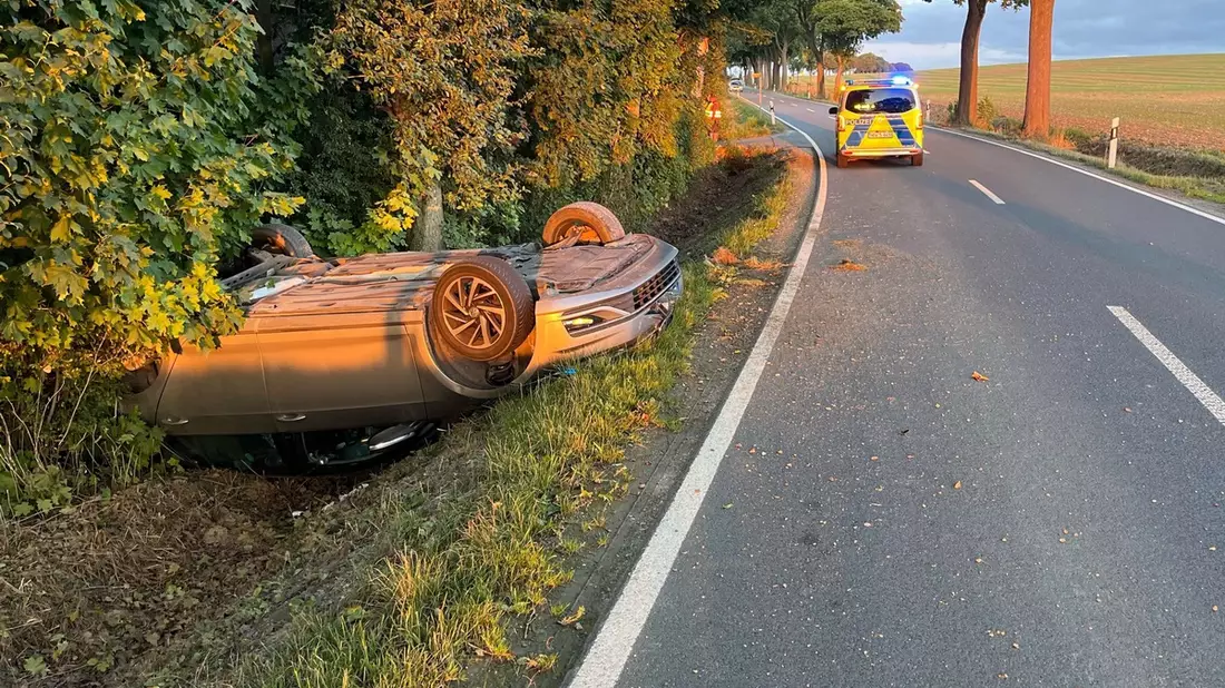 POL-HX: Wildunfall kostet VW-Fahrer den Führerschein - Bild: presseportal.de