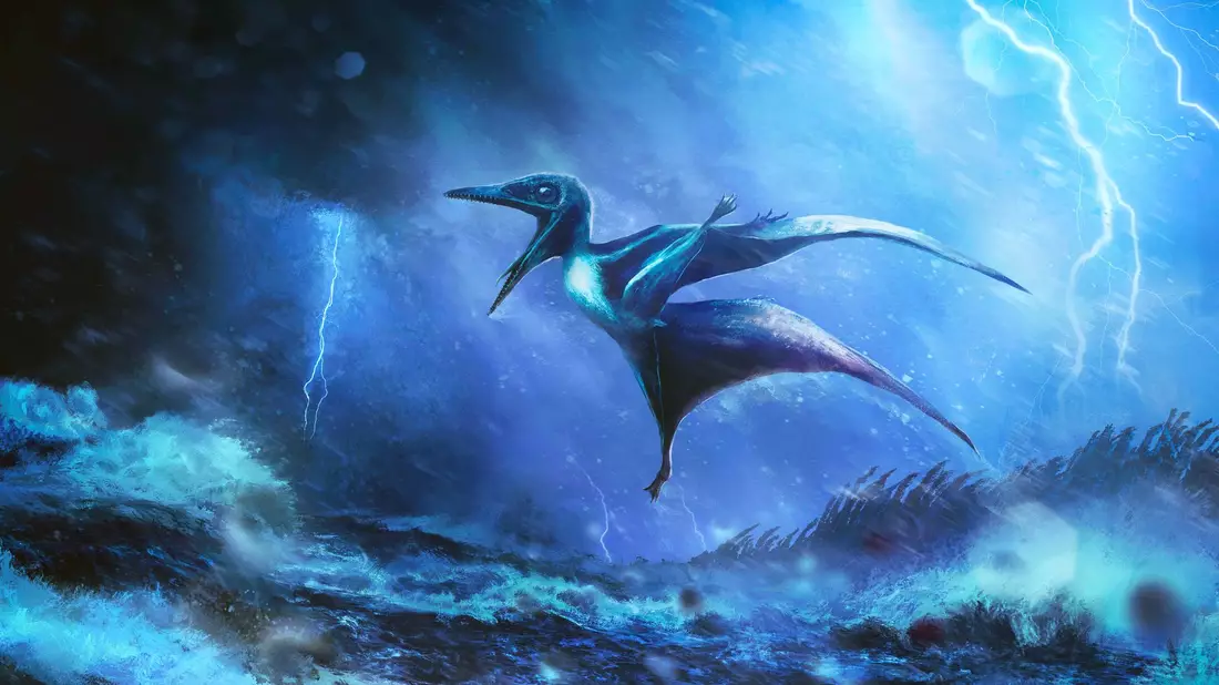 Starke Windböe brechen die zarten Knochen: Künstlerische Darstellung eines kleinen Pterodactylus-Babys in einem Tropengewitter. - Bild: Rudolf Hima/EurekAlert/dpa