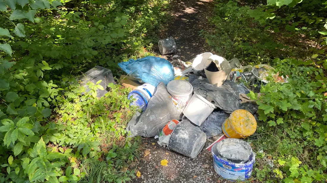 LPI-NDH: Ablagerung im Wald - Bild: presseportal.de