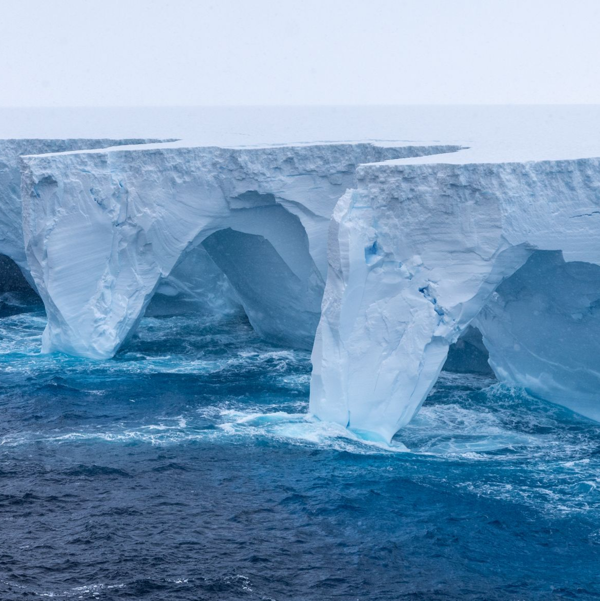 Ein Forscher beschreibt den Eisberg wie «eine Wand von Horizont zu Horizont». - Foto: Richard Sidey/Eyos Expeditions/dpa