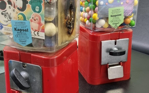 LPI-EF: Falsche Naschkatzen - Foto: presseportal.de