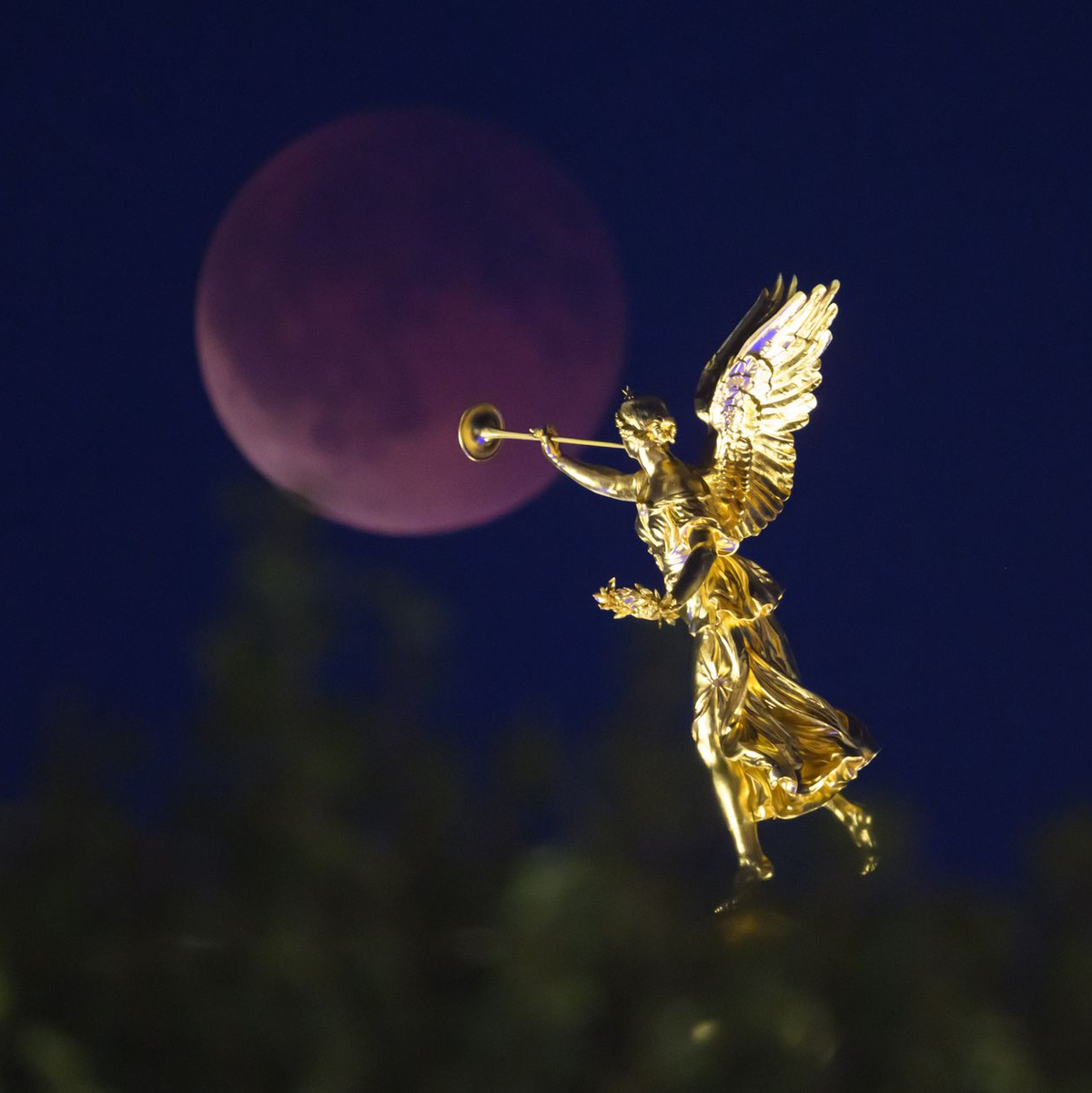 Eine Mondfinsternis kann es nur bei Vollmond geben. - Foto: Robert Michael/dpa