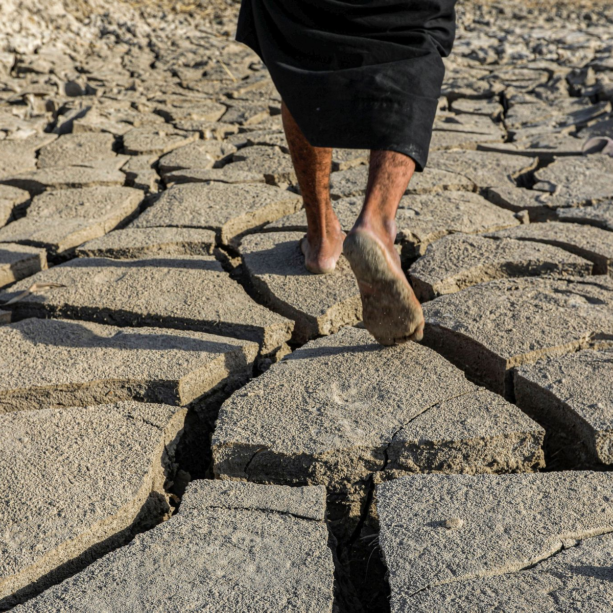 Der südliche Irak könnte wegen Wasserknappheit bald unbewohnbar werden. - Foto: Nabil al-Jurani/AP/dpa