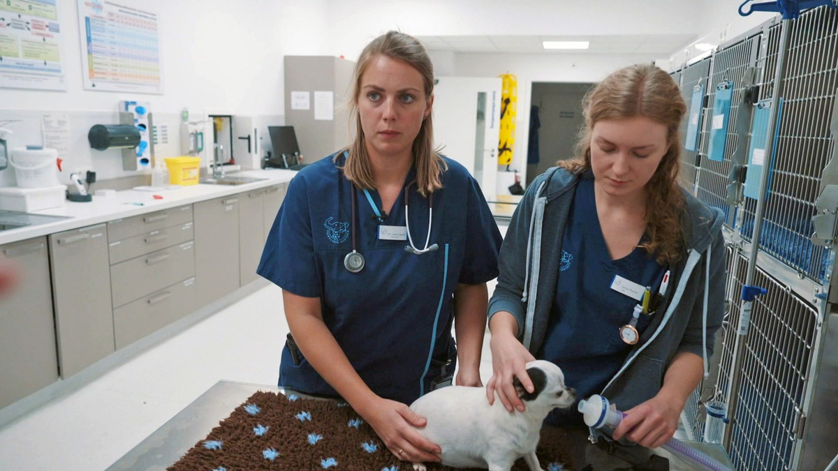 Neue Reportage bei RTLZWEI 