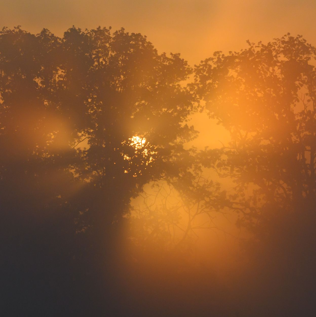 Im Osten bleibt es noch warm und sonnig. - Foto: Patrick Pleul/dpa