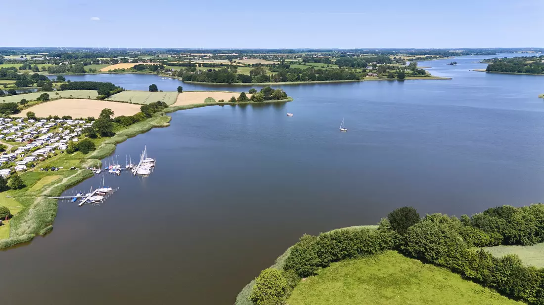 Blick auf die Schlei: Sie ragt als Meeresarm 42 Kilometer ins Landesinnere hinein. (Archivbild)  - Bild: Georg Wendt/dpa