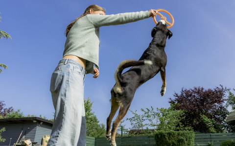  - Foto: PetYu (bluefrog pharma GmbH) über pressetext.de