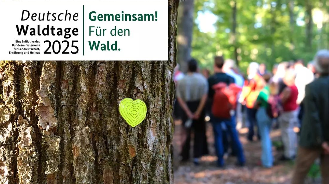 Bundesweite Veranstaltungen zu den Deutschen Waldtagen 2025 / Unter dem Motto Gemeinsam! Für den Wald. finden vom 19. bis 21. September in ganz Deutschland zahlreiche Aktionen statt - Bild: presseportal.de