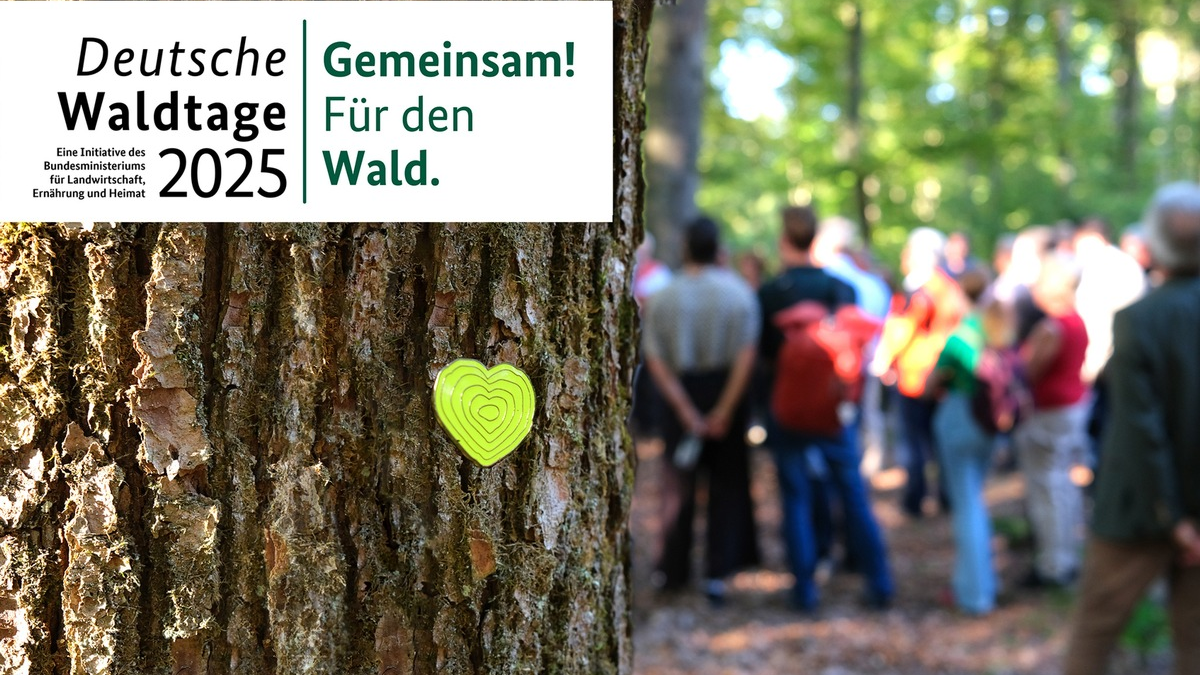 Bundesweite Veranstaltungen zu den Deutschen Waldtagen 2025 / Unter dem Motto 