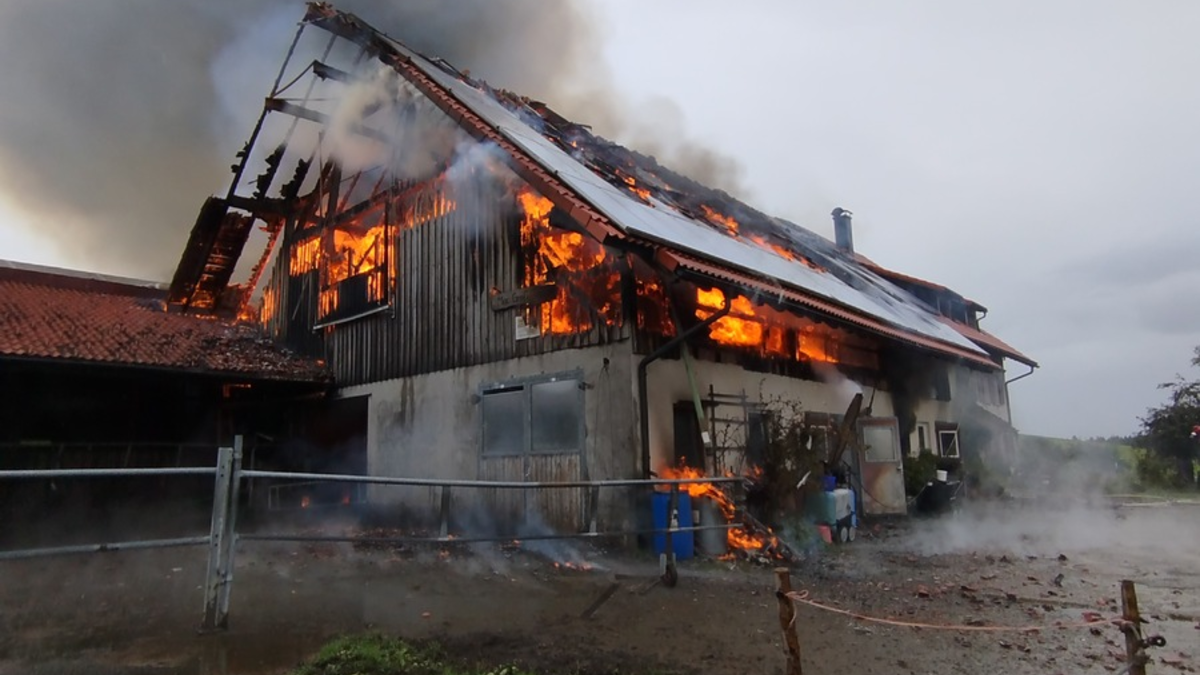 LRA-Ravensburg: Landwirtschaftliches Anwesen im Vollbrand 50 Milchkühe, 16 Jungrinder und das Wohnhaus konnten gerettet werden - Foto: presseportal.de
