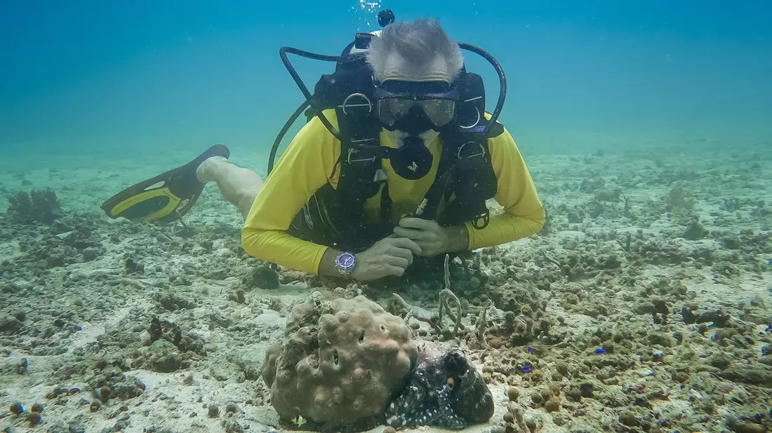 Im Einsatz für den Oktopus: Neue Folge mit Hannes Jaenicke im ZDF - Bild: presseportal.de