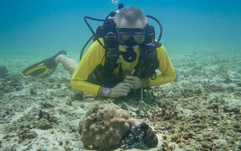 Im Einsatz für den Oktopus: Neue Folge mit Hannes Jaenicke im ZDF - Foto: presseportal.de