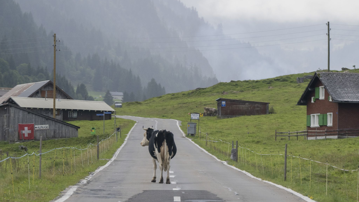 «Die Zahl der Deutschen mit Wohnsitz in der Schweiz steigt seit Jahren kontinuierlich», berichtete die Statistikbehörde. Binnen zehn Jahren erhöhte sich die Zahl der Deutschen in der Schweiz um 10,7 Prozent. (Archivfoto) - Foto: Urs Flueeler/KEYSTONE/dpa