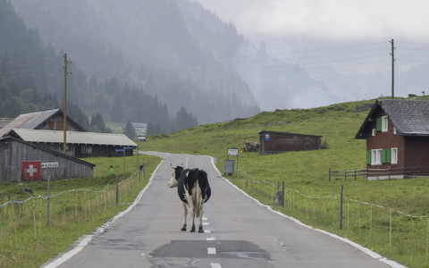 «Die Zahl der Deutschen mit Wohnsitz in der Schweiz steigt seit Jahren kontinuierlich», berichtete die Statistikbehörde. Binnen zehn Jahren erhöhte sich die Zahl der Deutschen in der Schweiz um 10,7 Prozent. (Archivfoto) - Foto: Urs Flueeler/KEYSTONE/dpa
