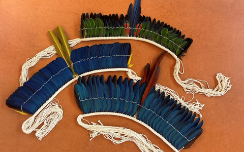 HZA-S: Papageienfedern in Postpaket / Zollamt Winnenden beschlagnahmt artgeschützten Kopfschmuck - Foto: presseportal.de