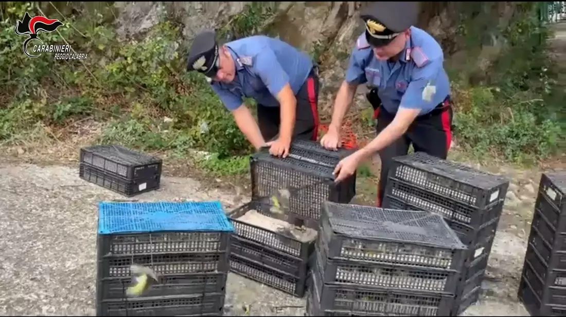 Den Einsatzkräften fiel der Kleintransport bei einer Verkehrskontrolle auf. - Bild: ---/Carabinieri Reggio Calabria/dpa