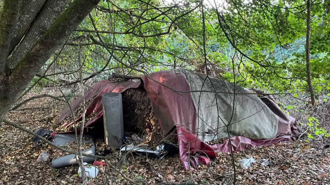 POL-NE: Spaziergänger finden Skelett im Wald - Bild: presseportal.de