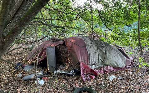 POL-NE: Spaziergänger finden Skelett im Wald - Foto: presseportal.de