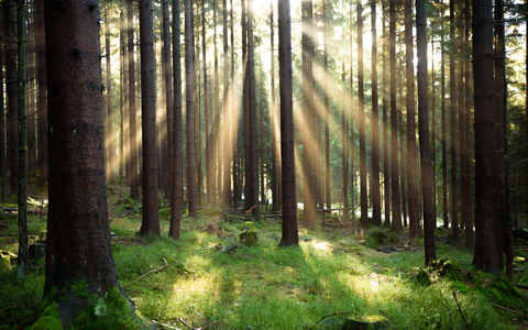 Atom und Gas als grüne Investition? Das EU-Gericht hat über ein EU-Label für nachhaltige Finanzprodukte entschieden. (Symbolbild) - Foto: Nicolas Armer/dpa/dpa-tmn