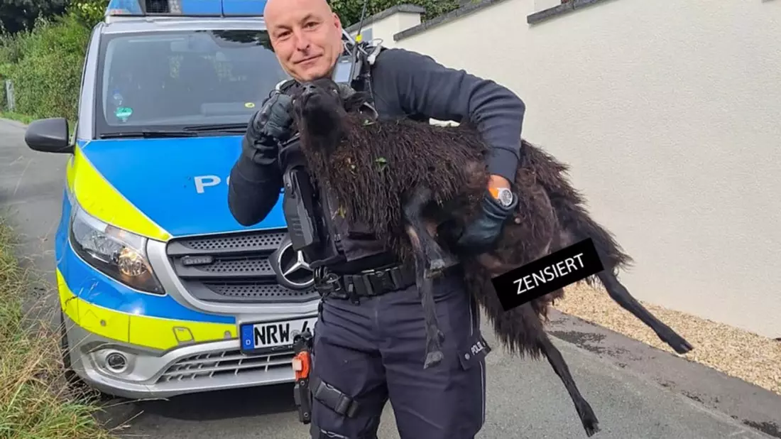 POL-BO: High Noon in Herbede: Showdown zwischen Hund, Schaf und Sherriff - Bild: presseportal.de