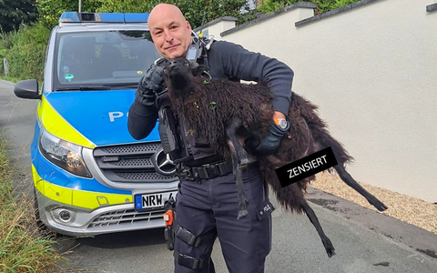POL-BO: High Noon in Herbede: Showdown zwischen Hund, Schaf und Sherriff - Foto: presseportal.de