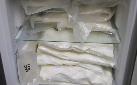 ZOLL-F: Mutmaßliche Darknetdealer-Gruppierung zerschlagen / Zoll und Polizei heben Drogenlager und Cannabisplantage aus / vier Haftbefehle vollstreckt / Server gesichert - Foto: presseportal.de