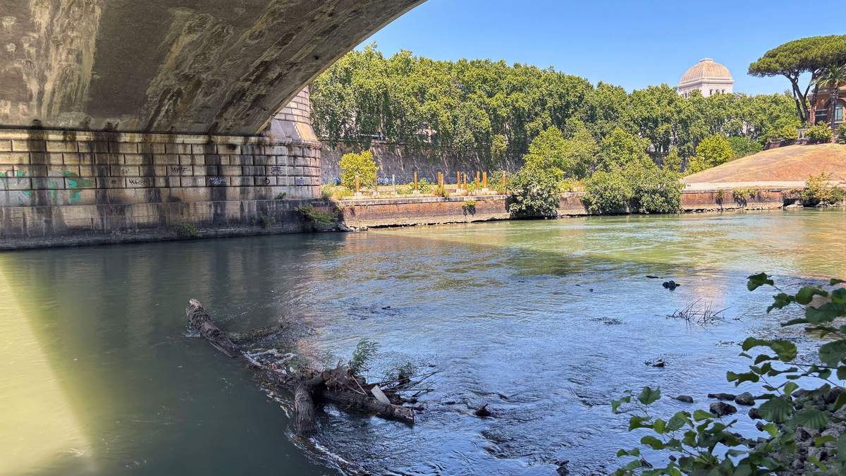 Der Tiber, ein Badegewässer? - Foto: Robert Messer/dpa