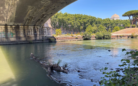 Der Tiber, ein Badegewässer? - Foto: Robert Messer/dpa