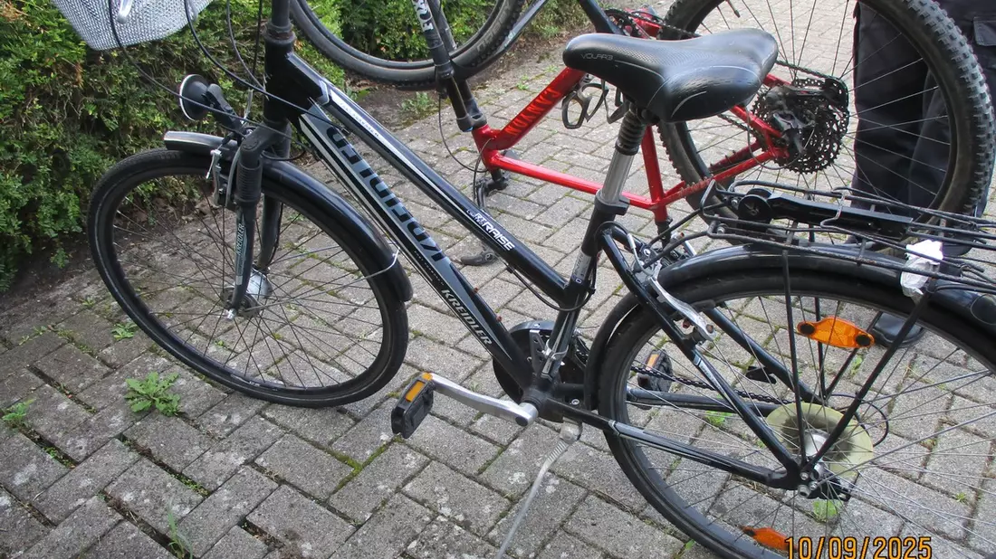 POL-DH: --- Lemförde, Polizei sucht Fahrradeigentümer (Foto) - Dickel, Reh ausgewichen und gegen baum geprallt --- - Bild: presseportal.de