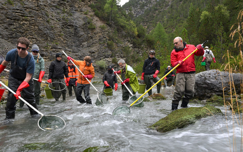 Die Bachforellen setzen ihr Leben ein paar Kilometer flussabwärts fort. - Foto: Hans Lozza/Schweizerischer Nationalpark/dpa