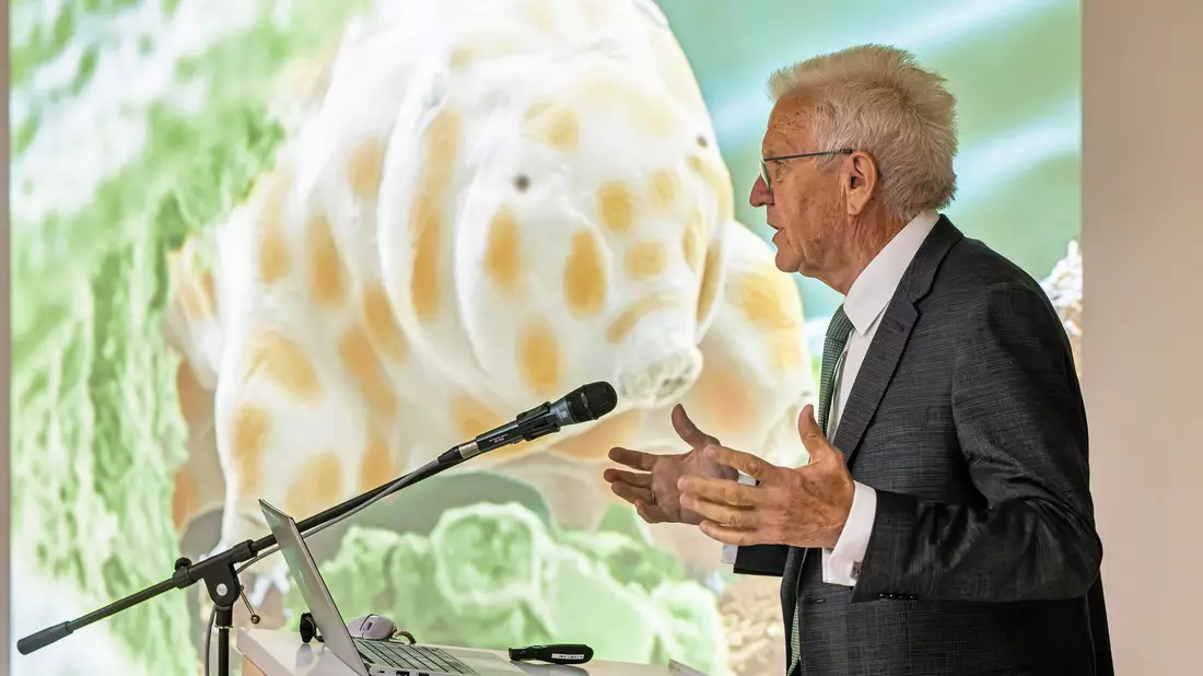 Man kann sie nur unter dem Mikroskop sehen: Die neue Bärtierchenart «Ramazzottius kretschmanni». - Bild: Philipp von Ditfurth/dpa