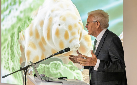 Man kann sie nur unter dem Mikroskop sehen: Die neue Bärtierchenart «Ramazzottius kretschmanni». - Foto: Philipp von Ditfurth/dpa