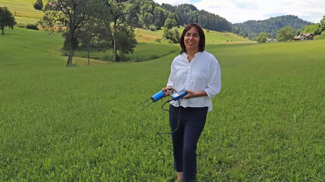 Wissenschaftlicher Kampf dem Rost: Der verursacht allein in Deutschland einen volkswirtschaftlichen Schaden zwischen 100 und 150 Milliarden Euro pro Jahr.  - Bild: Kerstin Heemann/DBU/dpa