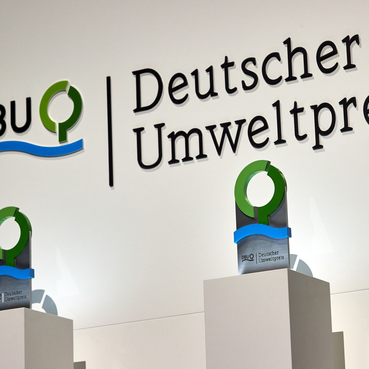Der Deutsche Umweltpreis wird am 26. Oktober in Chemnitz von Bundespräsident Frank-Walter Steinmeier an die Preisträger überreicht. (Symbolbild)  - Foto: Georg Wendt/dpa