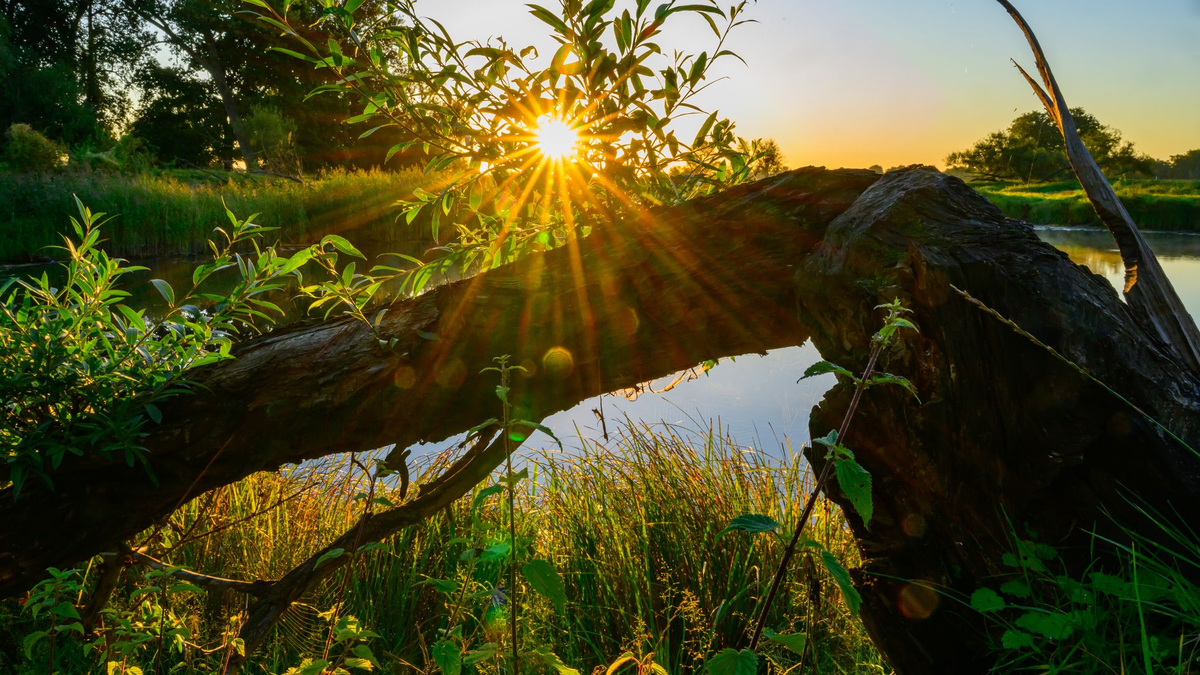 Die Sonne zeigt sich am Wochenende nicht so häufig. (Symbolbild) - Foto: Patrick Pleul/dpa