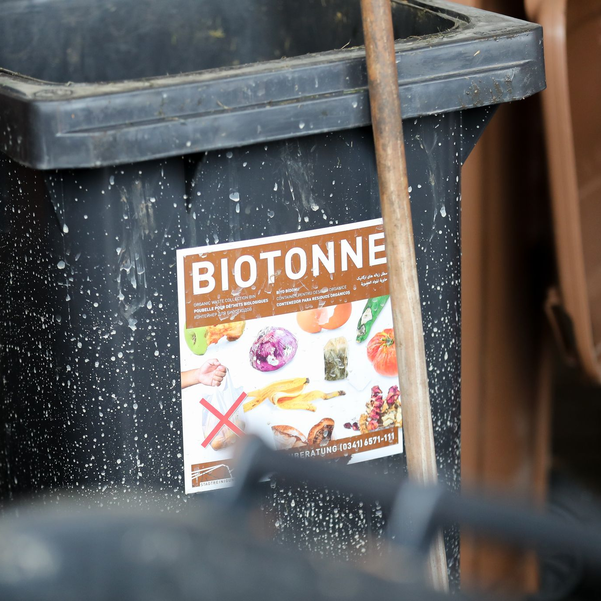 Was darf rein, was nicht? Auf keinen Fall Plastik, Glas, Alufolie und Konservendosen. - Foto: Jan Woitas/dpa-Zentralbild/dpa