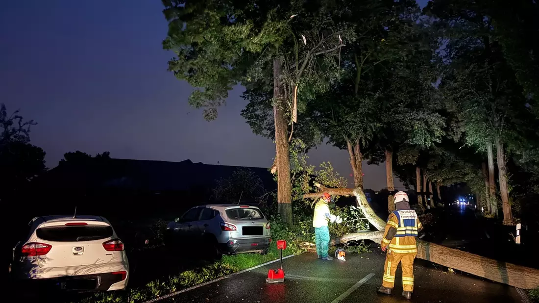 FW Tönisvorst: Ein umgestürzter Baum sorgte für einen Unfall zwischen zwei ausweichenden Fahrzeugen und sorgte für erhebliche Verkehrsstörung, verletzt wurde niemand - Bild: presseportal.de