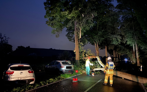 FW Tönisvorst: Ein umgestürzter Baum sorgte für einen Unfall zwischen zwei ausweichenden Fahrzeugen und sorgte für erhebliche Verkehrsstörung, verletzt wurde niemand - Foto: presseportal.de