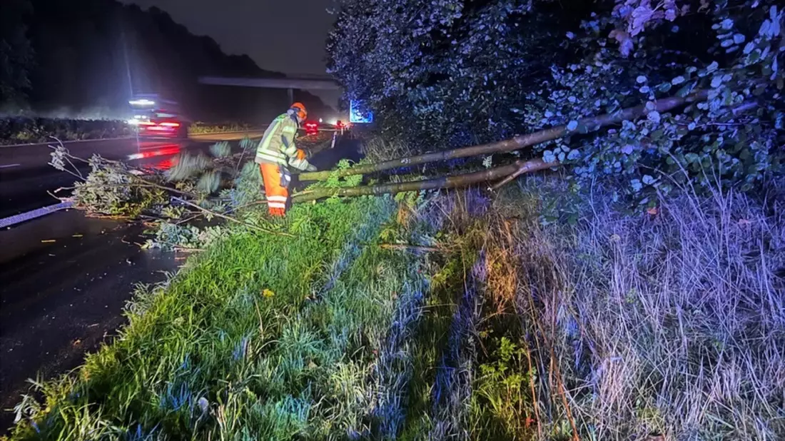FW Alpen: Baum auf Fahrbahn - Bild: presseportal.de