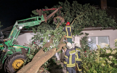 FFW Schiffdorf: Baum stürzt auf Haus - keine Person verletzt - Foto: presseportal.de