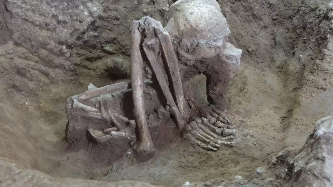 Dieser Fund soll älter als 9.000 Jahre sein. - Bild: Yousuke Kaifu;Hirofumi Matsumura/dpa