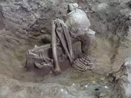 Dieser Fund soll älter als 9.000 Jahre sein. - Foto: Yousuke Kaifu;Hirofumi Matsumura/dpa