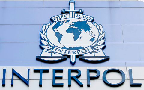 Ermittlerinnen und Ermittler aus 17 Ländern arbeiteten laut Interpol zusammen, um die gefährlichsten international gesuchten Kriminellen zu identifizieren. (Symbolbild)  - Foto: Wallace Woon/EPA FILE/dpa
