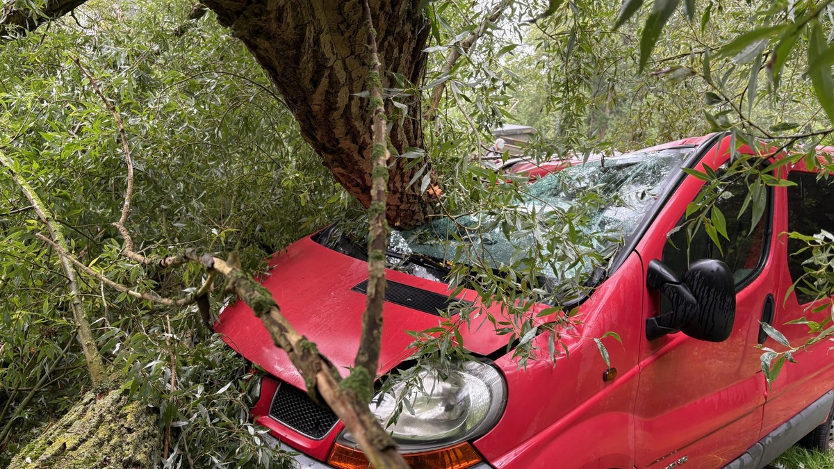POL-RZ: Sturm zwingt Bäume in die Knie / Polizei warnt vor Unwetter - Foto: presseportal.de