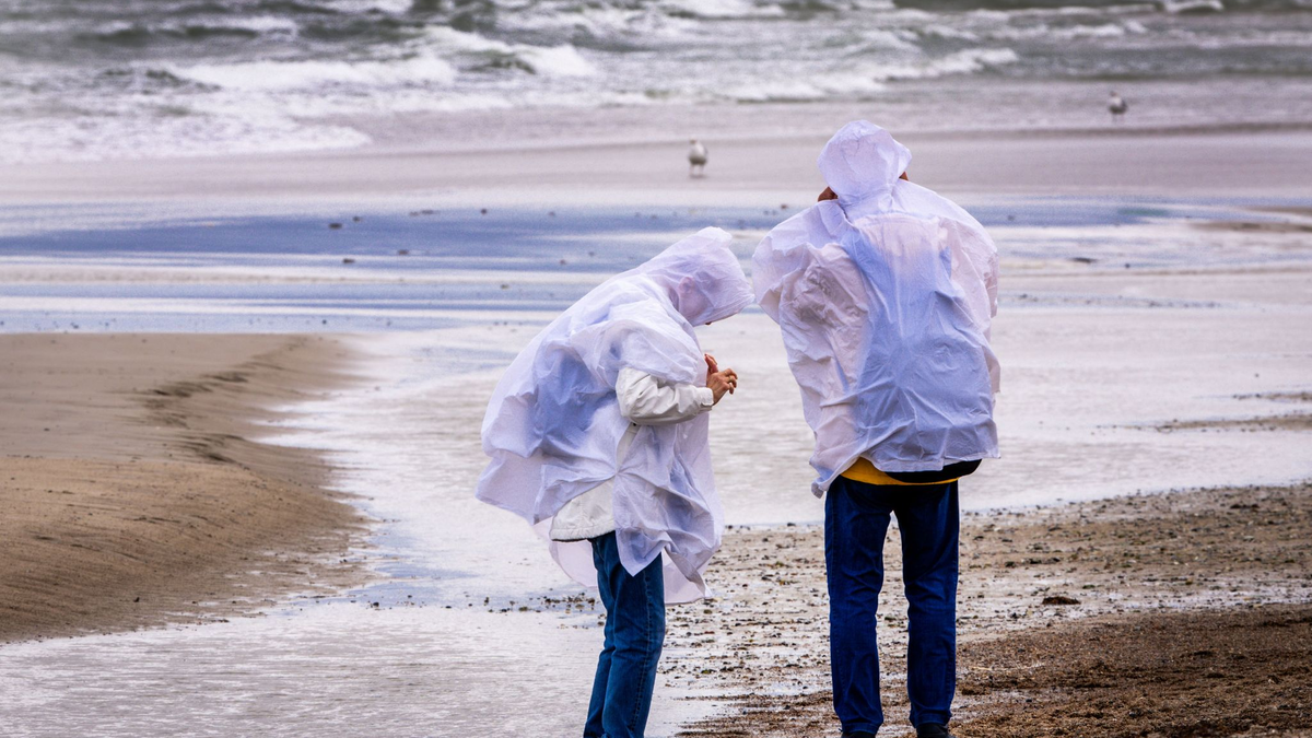 Sturmböen sorgen in Norddeutschland für einzelne Sperrungen und Ausfälle – größere Schäden bleiben aus. - Foto: Jens Büttner/dpa