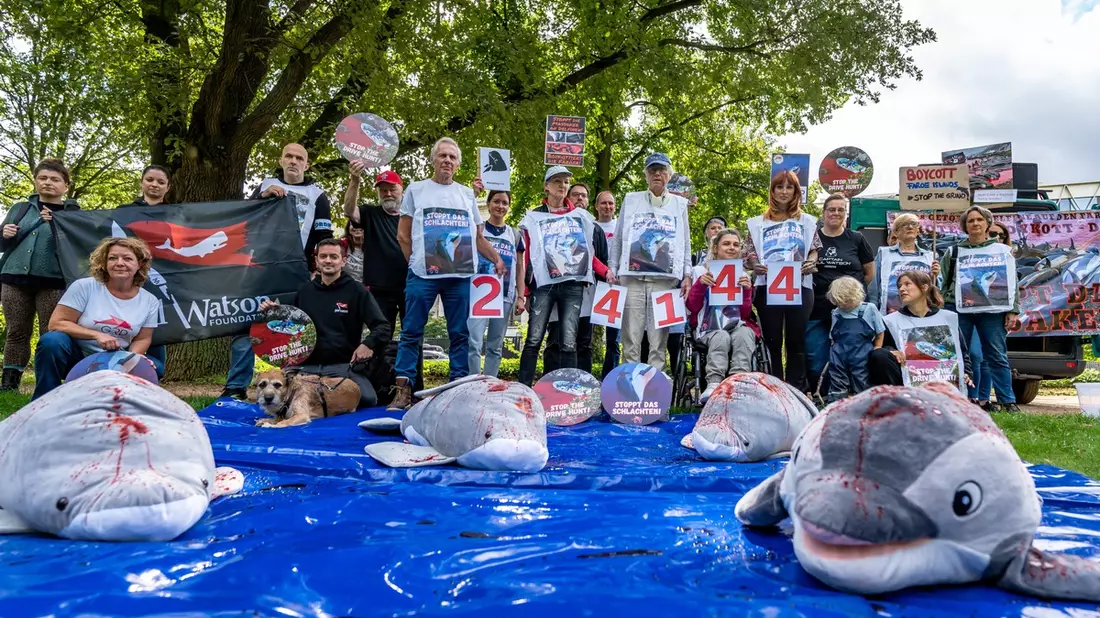 Blutspur von Japan zu den Färöer-Inseln: GRD übergibt 24.144 Unterschriften gegen Delfinschlachtungen - Bild: presseportal.de